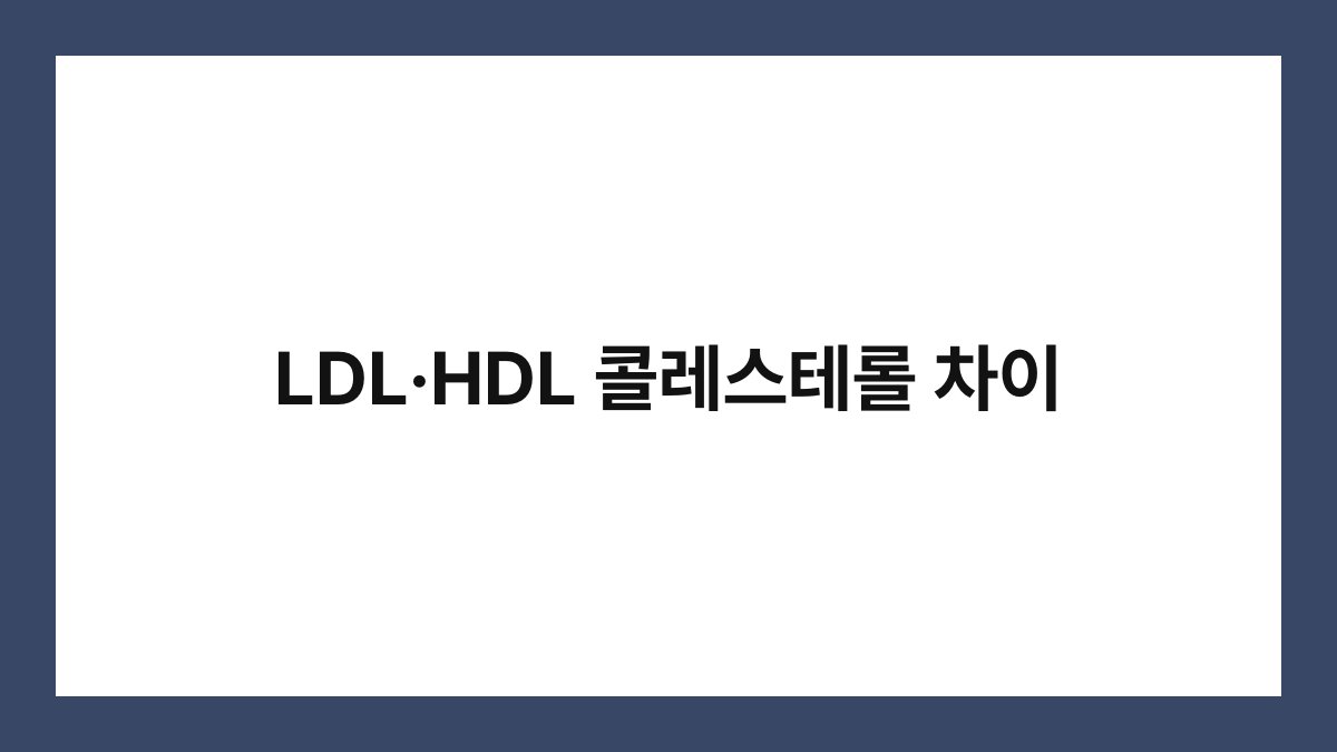 LDL·HDL 콜레스테롤 차이